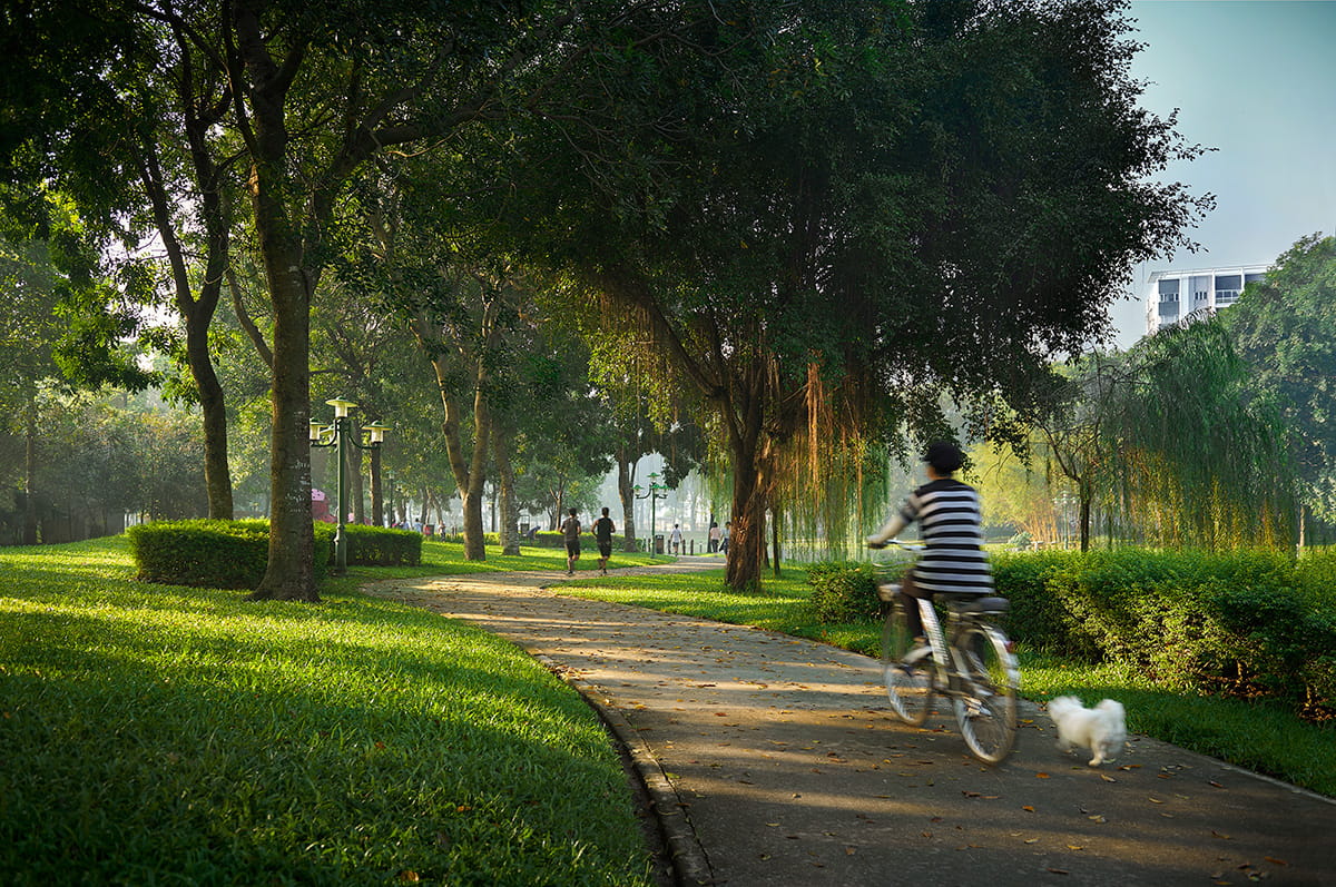  Walkers and cyclists can enjoy lush greenery at Central Park.