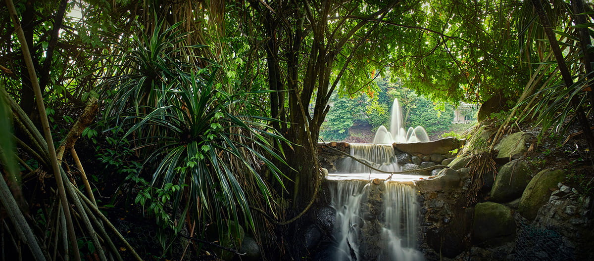 Gamuda Land’s township Valencia in Sungai Buloh, Selangor, was designed and developed according to the topography of the land.