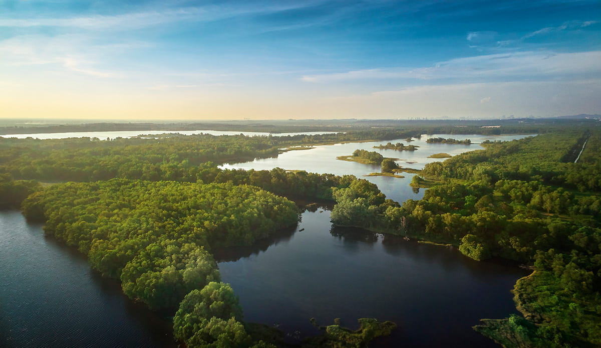 Aerial view of the Paya Indah Wetlands adjacent to Gamuda Cove. Gamuda Parks has ensured the protection of the endangered forest tree species Melicope lunu-akenda in Gamuda Cove.