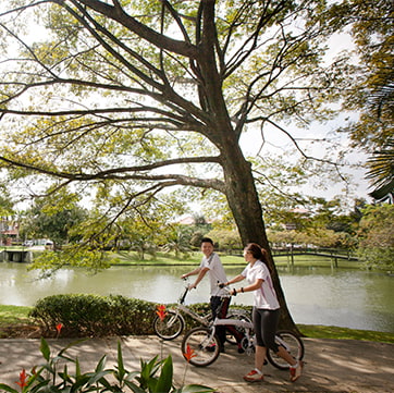 Activity at the park