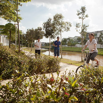 Activity at the park