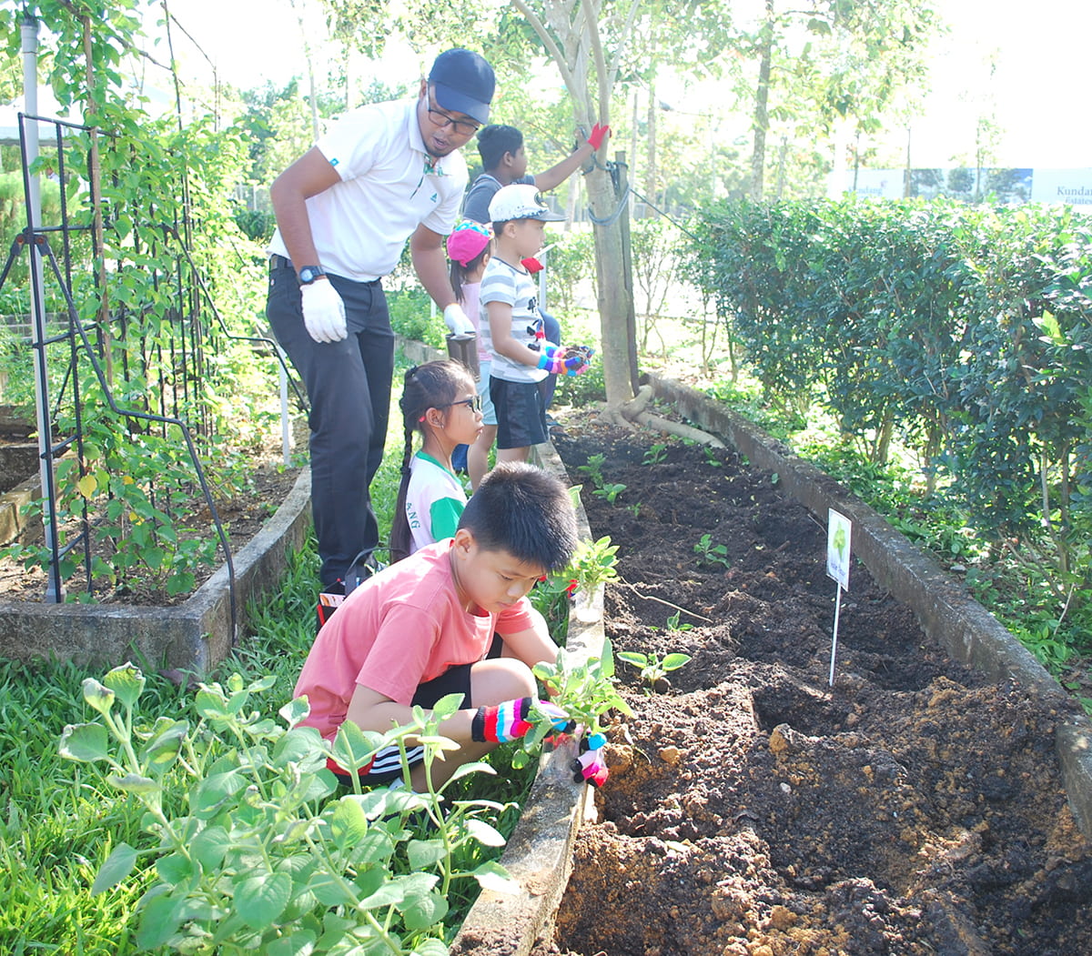 Community engagement activities are held frequently in Kundang Estates to cultivate appreciation for nature.