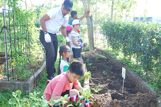 featured-image-community-farming