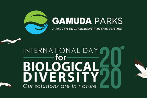 featured-image-IDB-Calendar-2020