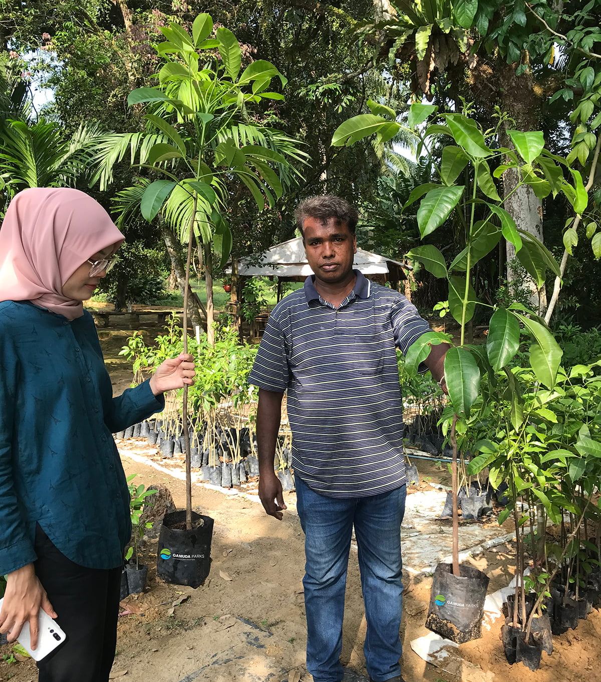 The establishment of an indigenous nursery in Pulau Kempas helps generate sustainable income for the Temuan community.