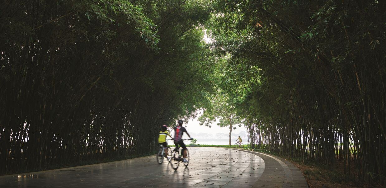 Yen So Park is filled with mature trees, comfortable for biking and outdoor activities.