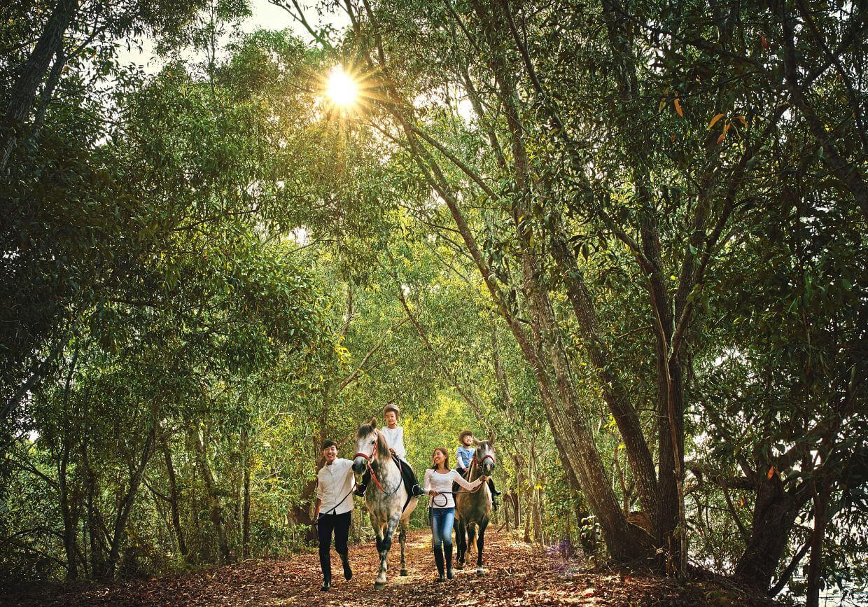 Surrounding Gamuda Cove is the lush greenery of Paya Indah Discovery Wetlands and Kuala Langat Forest Reserve.