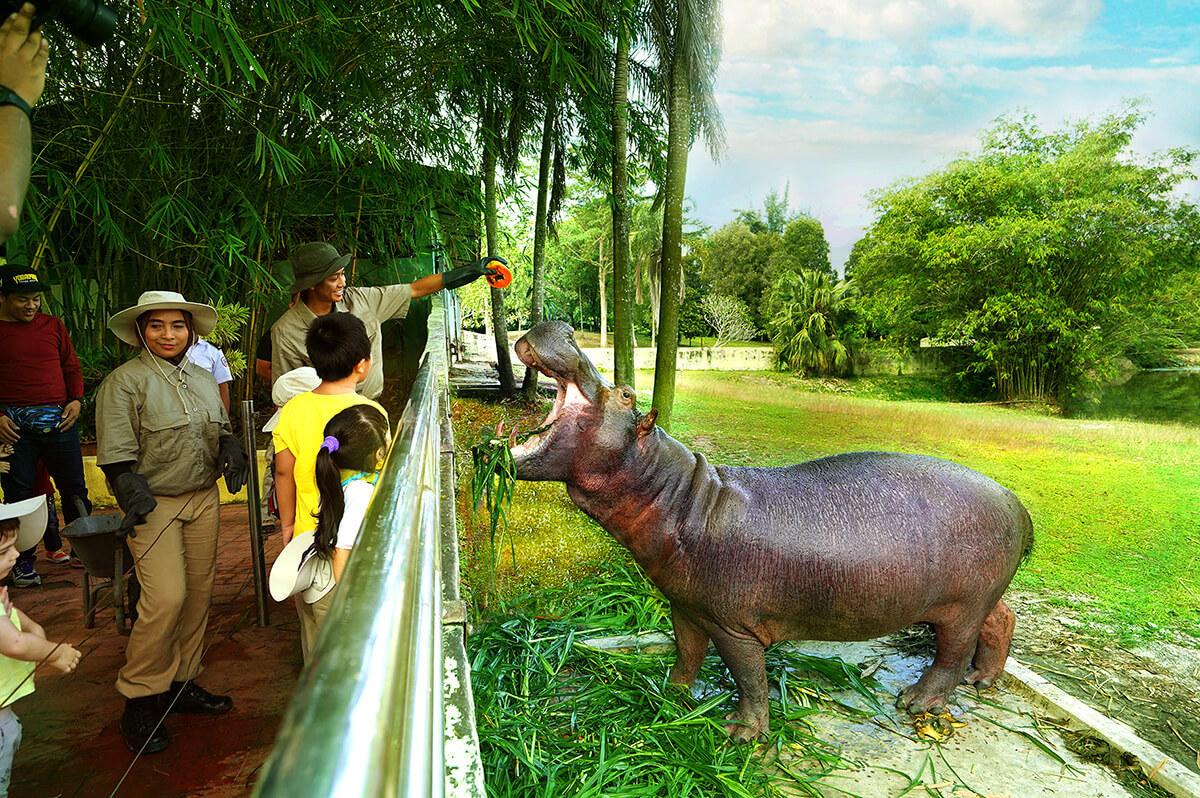 Paya Indah Discovery Wetlands is set to boost eco-tourism in Southern Klang Valley.