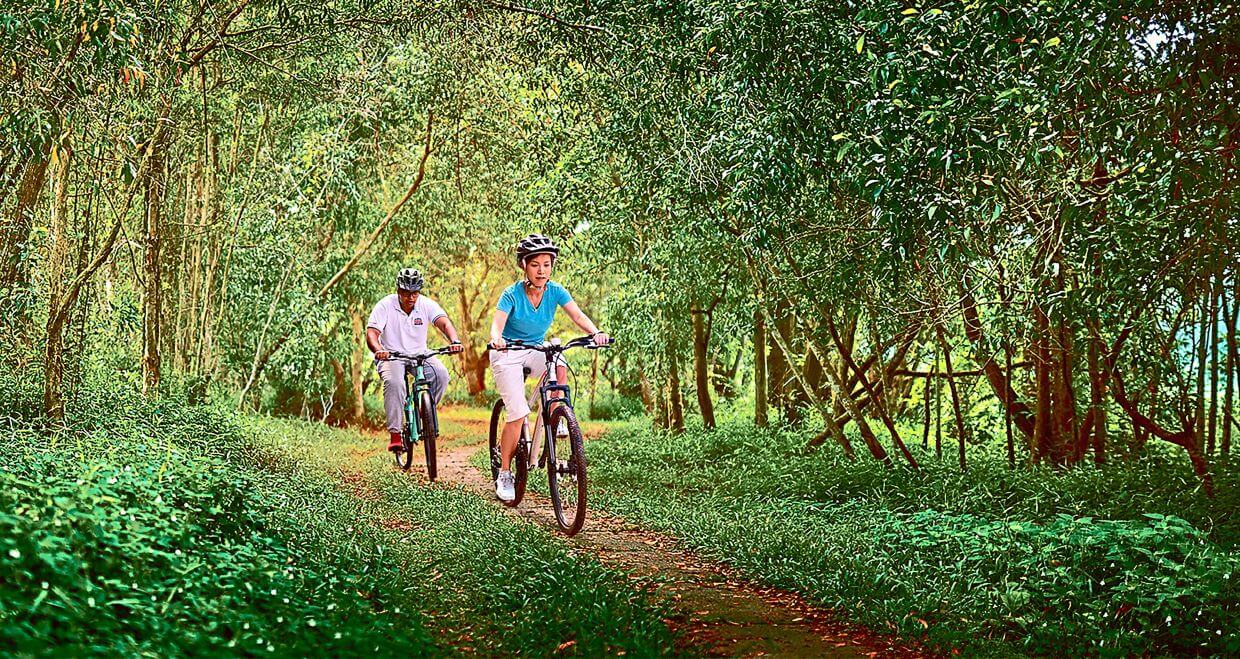 Residents can indulge in forest fitness activities such as jogging and cycling at the Forest Park.