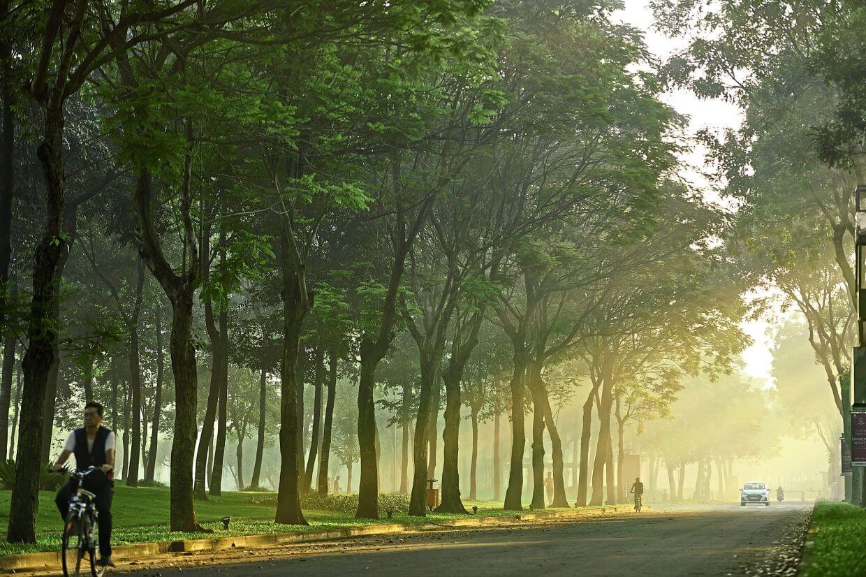 Benefits of trees for residents include cooling of ambient temperatures and well-being enhancement, as seen here in Celadon City, Vietnam.