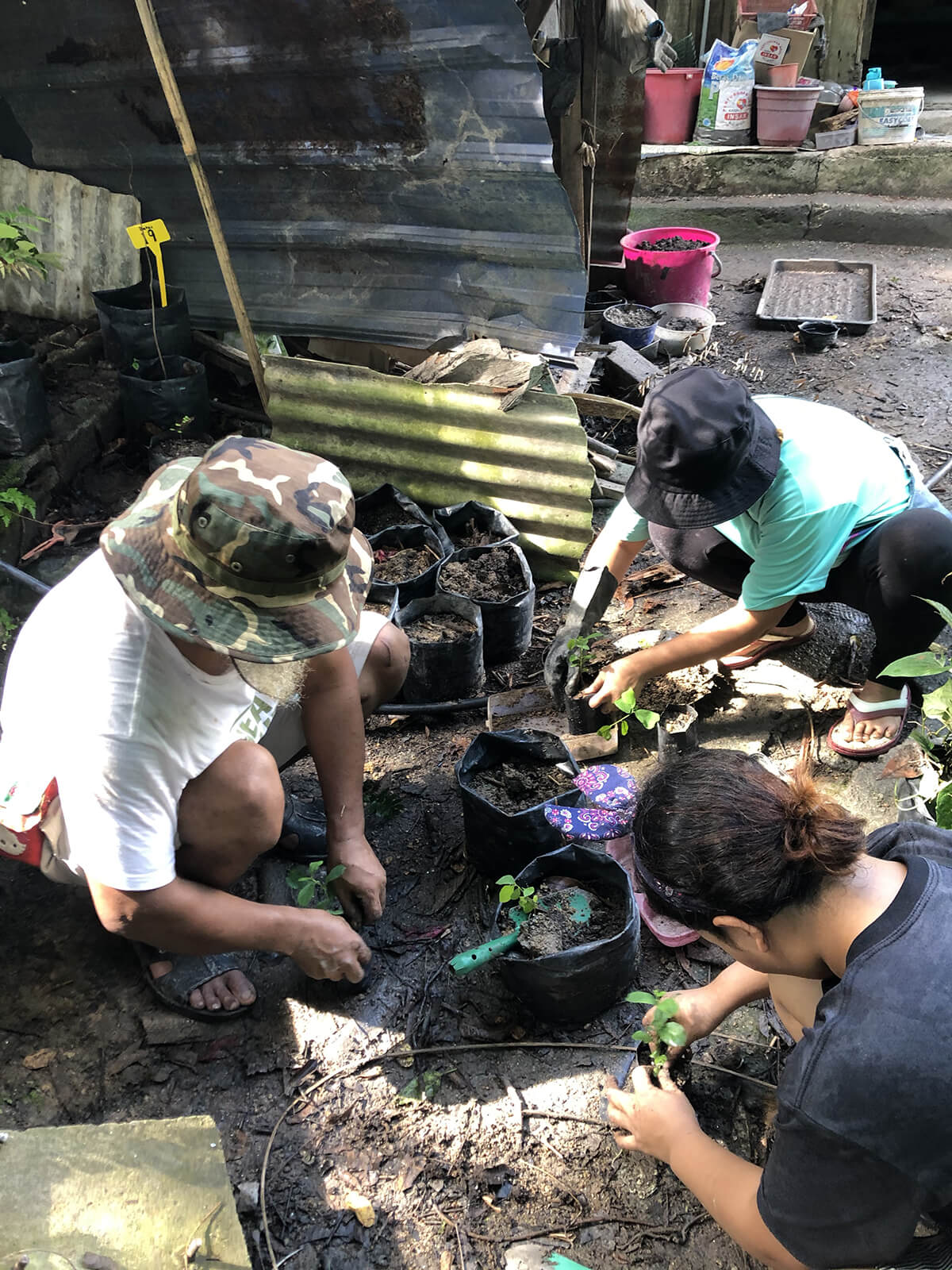 Gamuda Parks' Farm-to-Mouth project helps Orang Asli plant their own edible gardens, harvesting enough for the family and to sell.