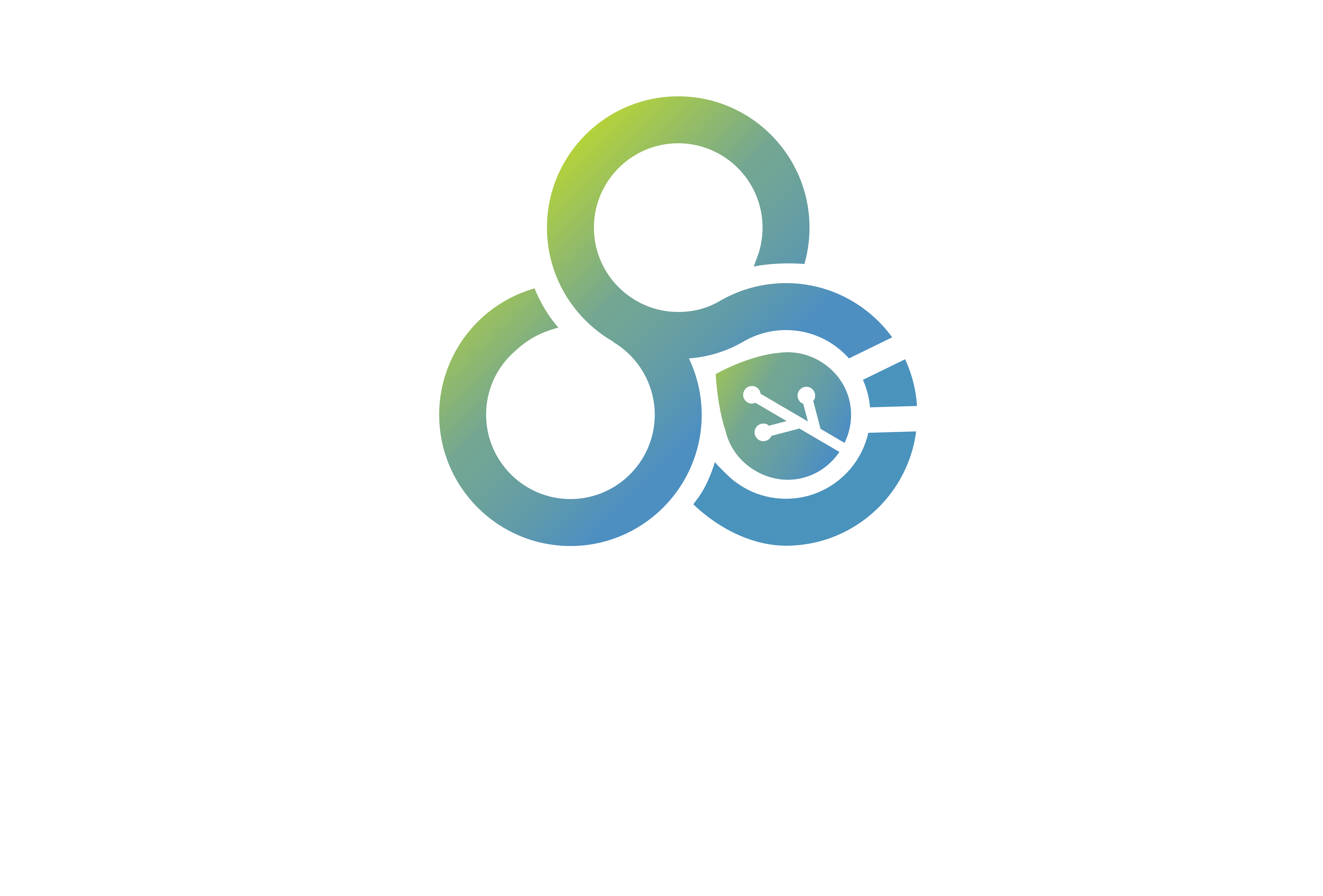 Penang South Islands logo